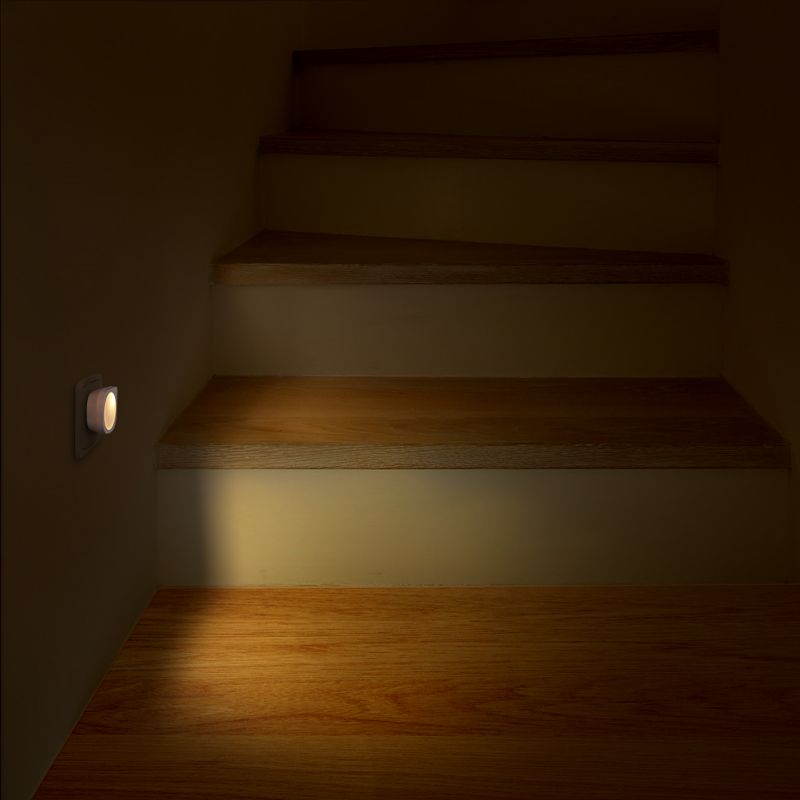 7 (1)